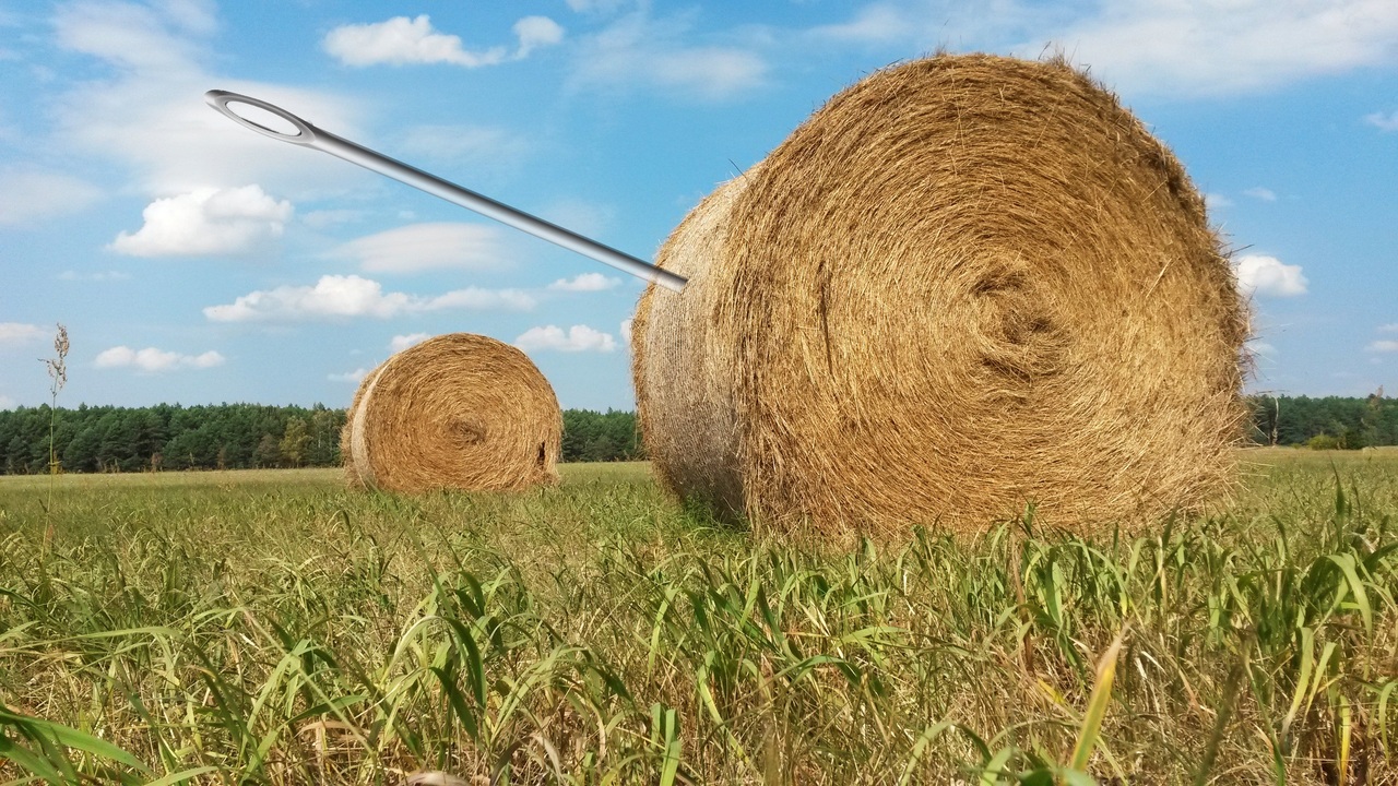 Very large needle in a round hay bale