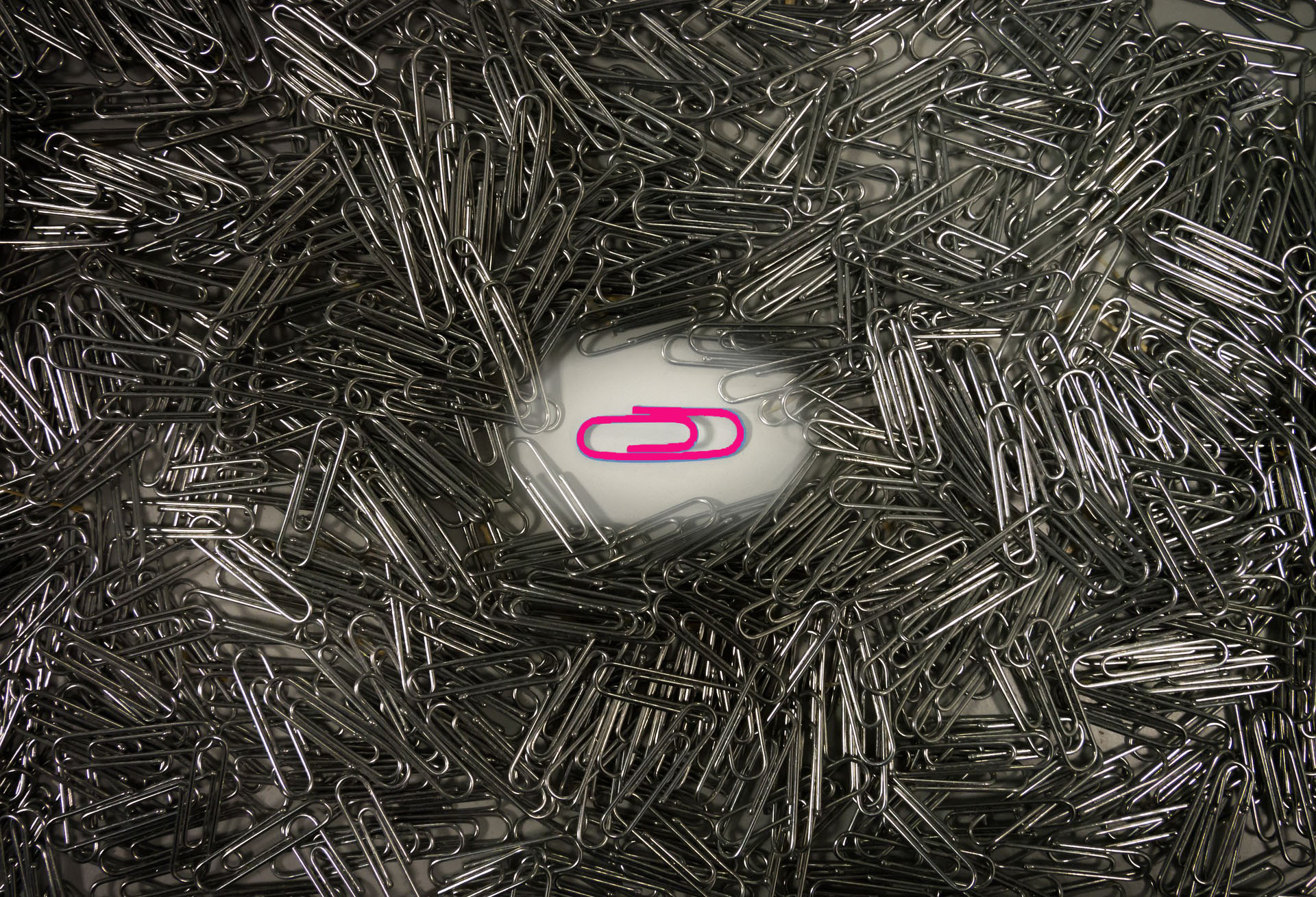 Pink paperclip in a sea of silver paperclips