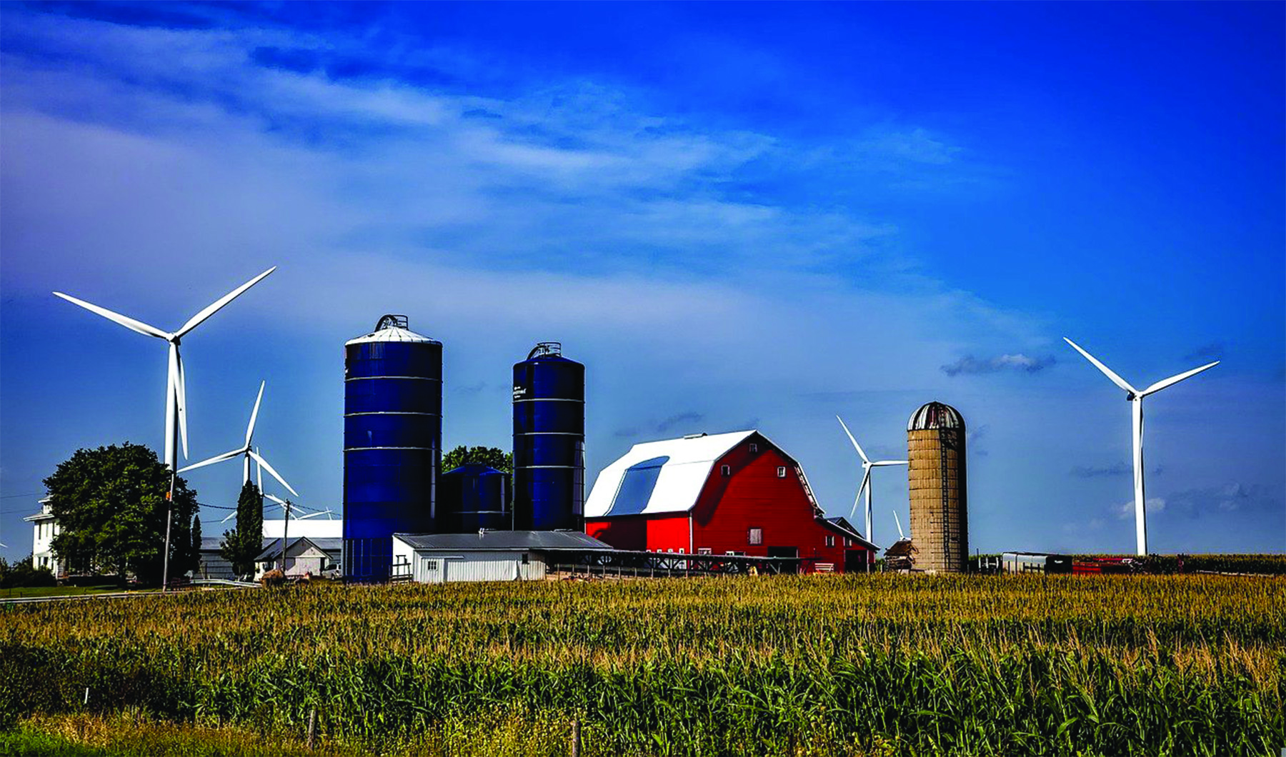 Farm and Wind Turbines