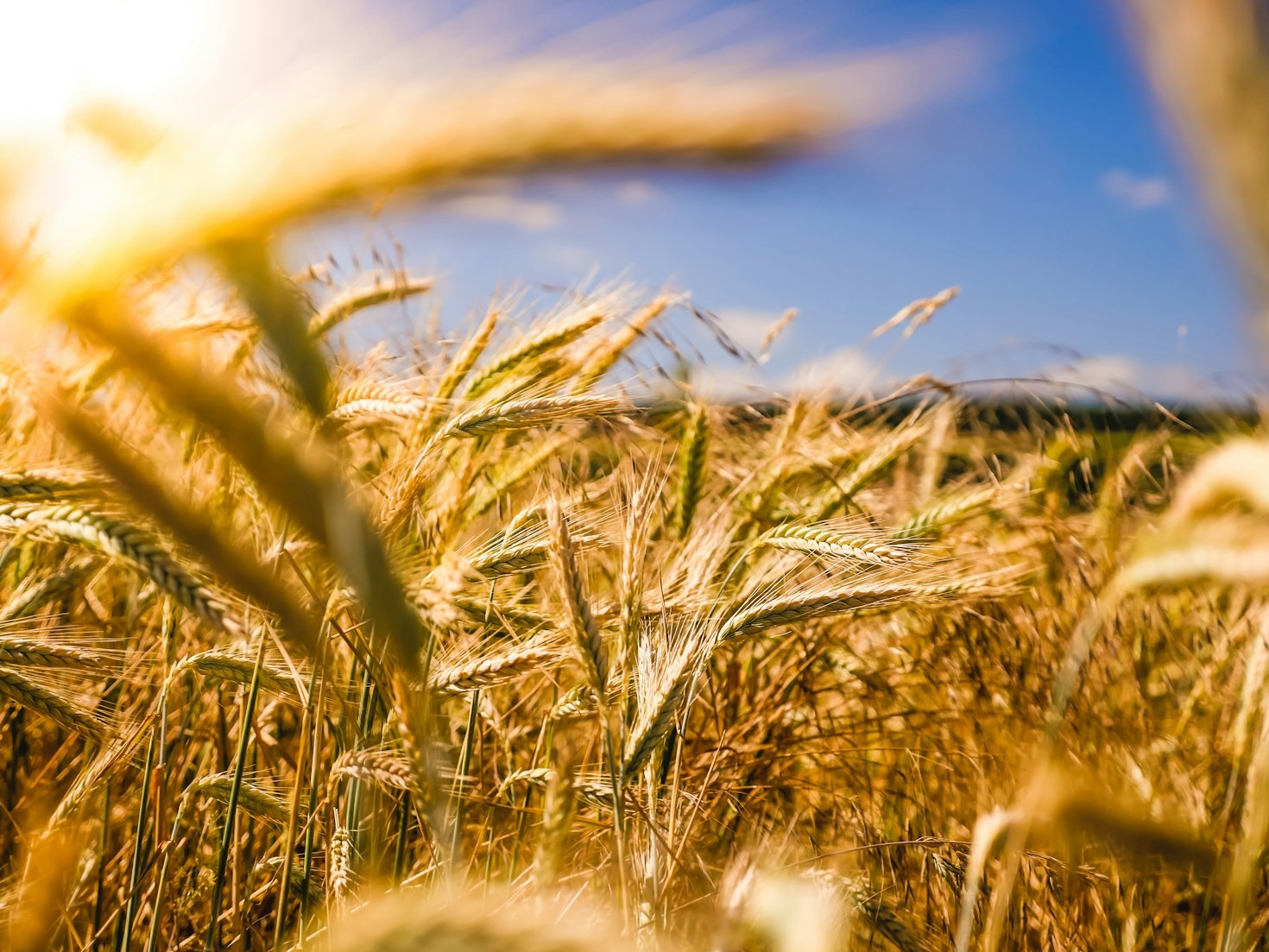 Top 5 Trends in Farm Business Management