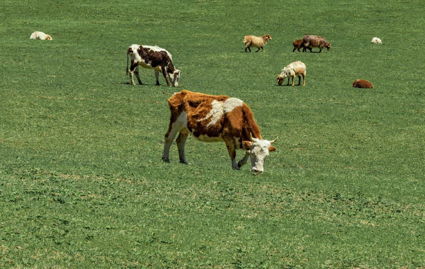 Innovations Shaping Agricultural Education