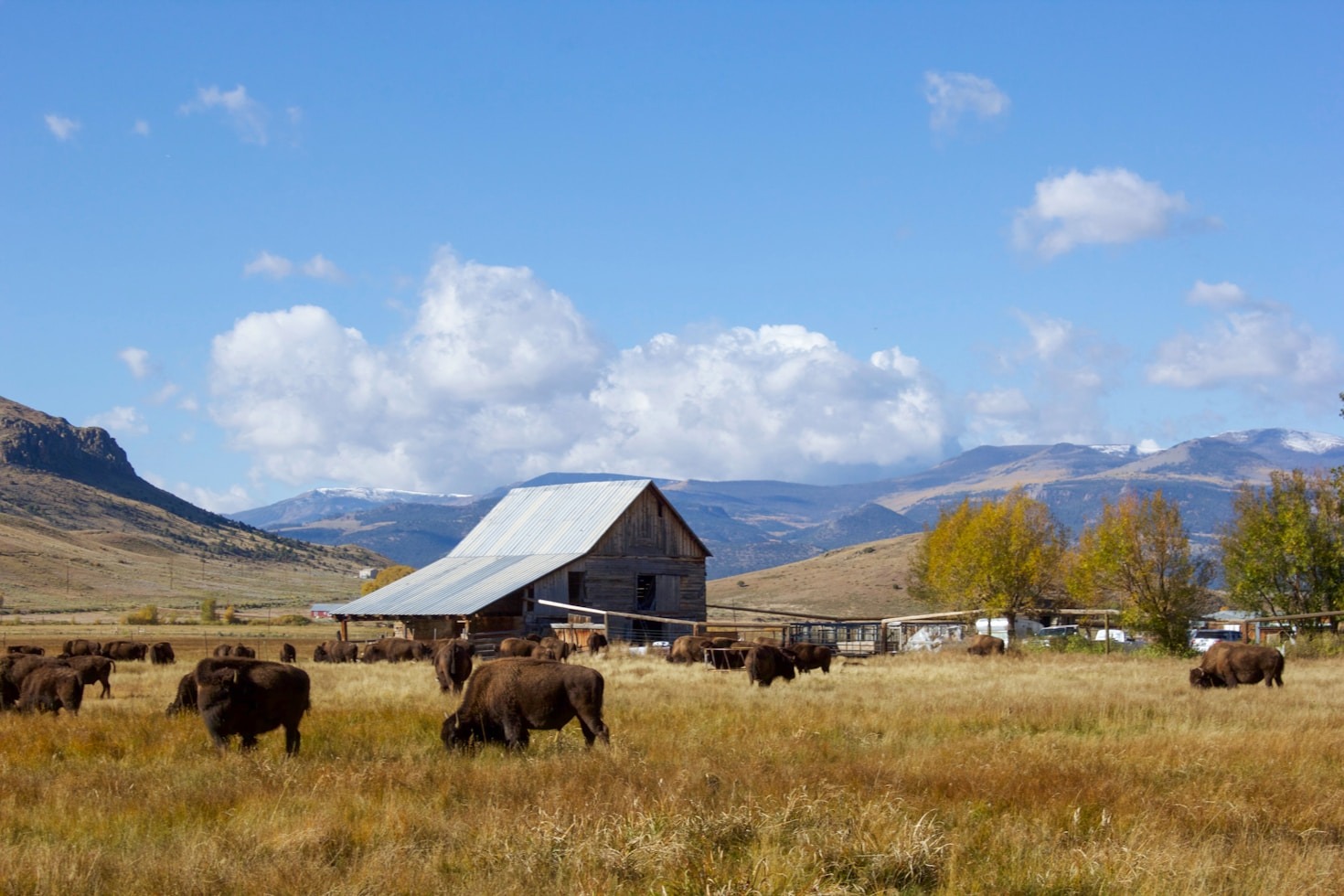 Case Studies: Successful Farm Management Practices