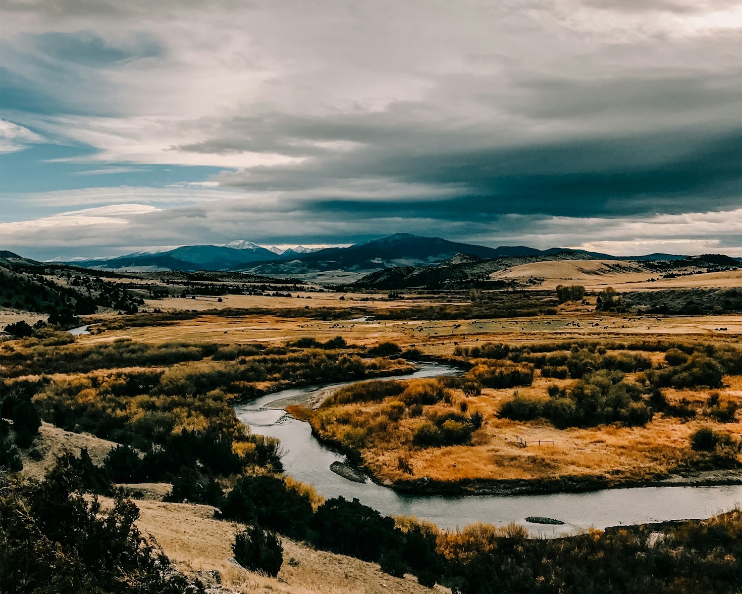 Building Resilient Agricultural Businesses